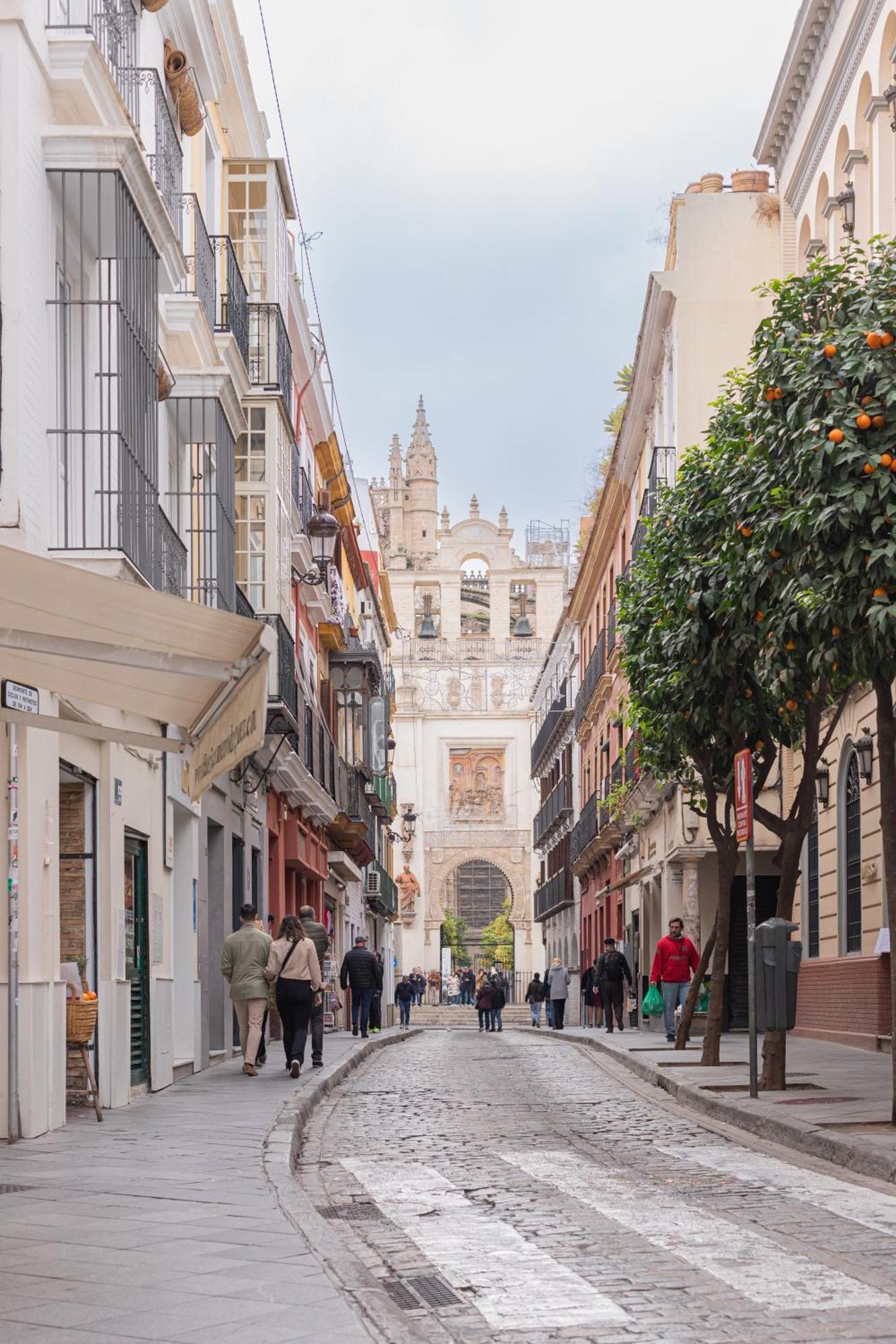 Apartamento Lujoso En Casco Antiguo De